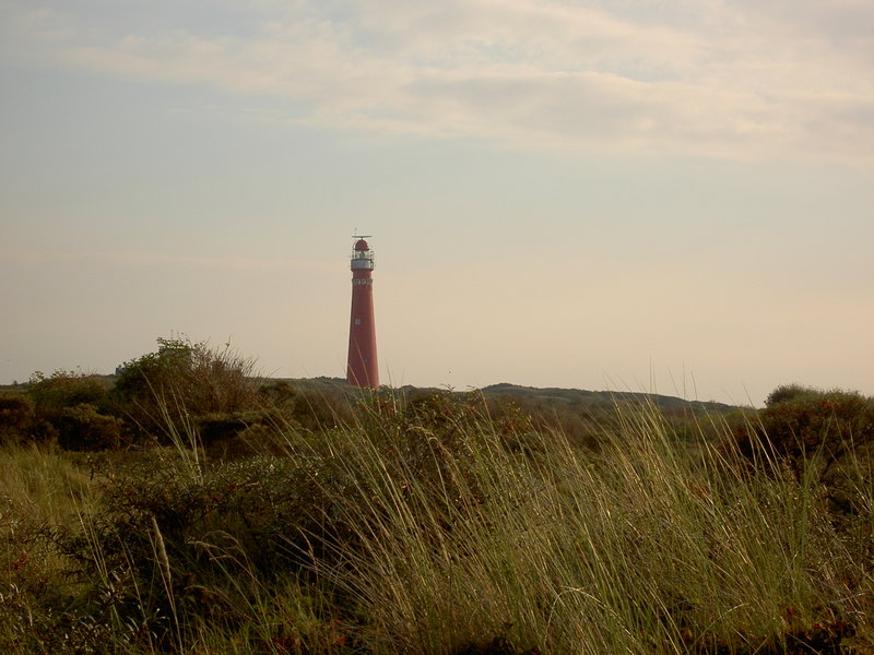 Brandarisrace zeilen aan boord van de Morgana vanuit Harlingen