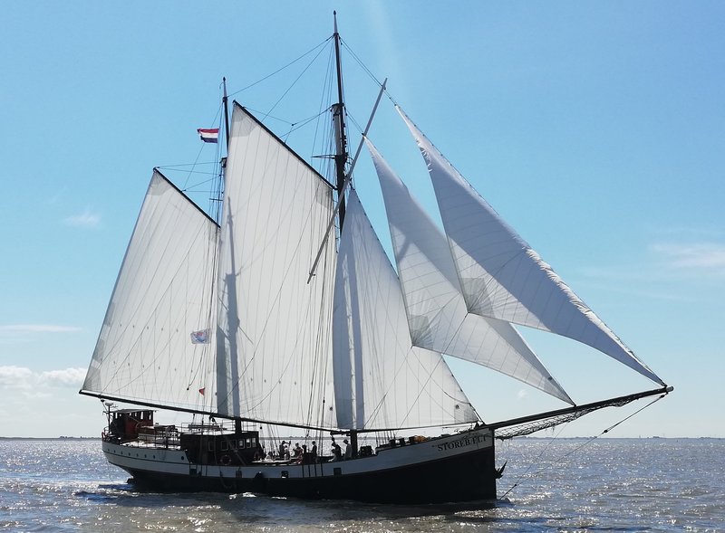 Last Minute: Weekend zeilen met de Storebælt op de Waddenzee vanuit Harlingen